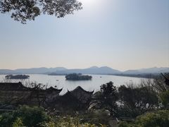 -西泠印社