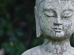 -鹿野苑石刻艺术博物馆