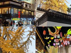 -李百蟹·江南蟹黄面·河景餐厅(夫子庙总店)