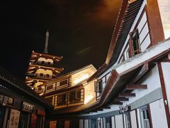 -海花岛旅游度假区