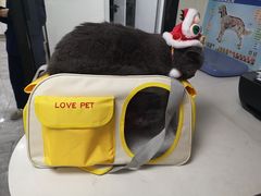 -贝康宠物医院·犬猫全科·小动物特色诊疗中心(东环路店)