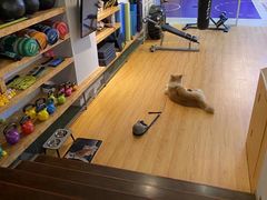 -YCHL Studios健身工作室(市二宫店)