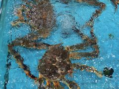 -渔民新村(番禺总店)