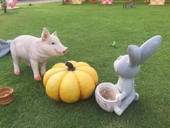 -太阳岛度假酒店