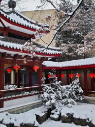 -琅悦月子会所(香格里拉旗舰店)