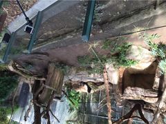 San&nbsp;Diego&nbsp;Zoo-圣地亚哥动物园