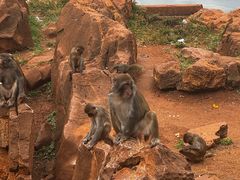 -昆明动物园