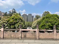 -塔子山公园