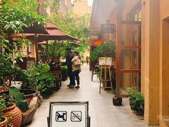 -嘉善老市