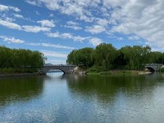 -大兴滨河森林公园