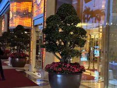 -广州香格里拉酒店