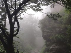 -阳台山自然风景区