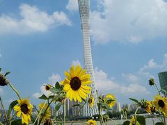-二沙岛艺术公园