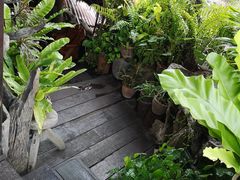 -自然餐厅(Phuket)