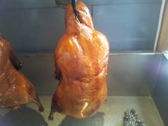 -顺平人家