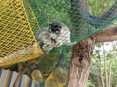 -西部长青自然儿童乐园