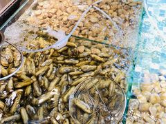 -四海蒸鲜蒸汽海鲜自助(北戴河店)