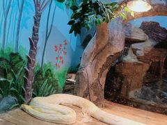 -石家庄市动物园