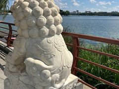 -长春市南湖公园