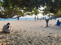 -亚龙湾中心广场