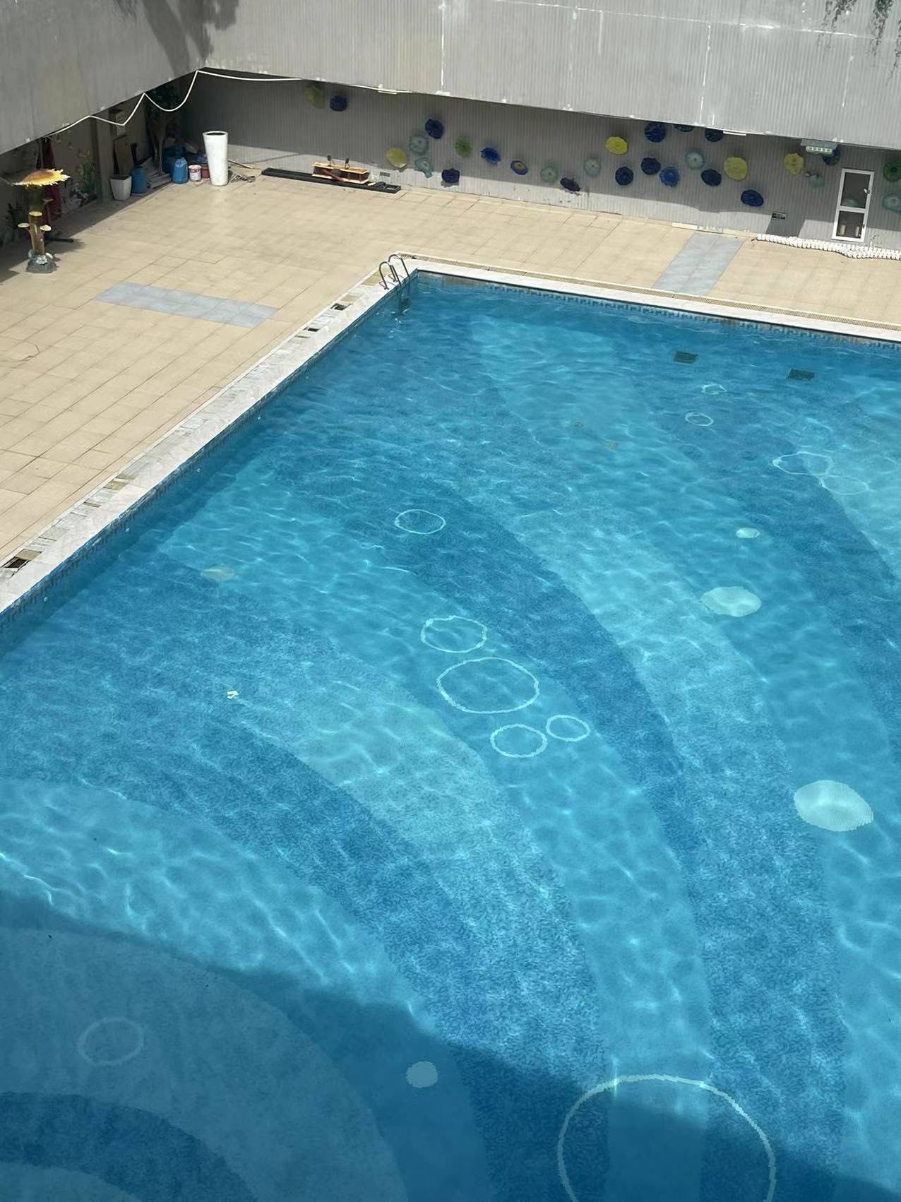 畅游泳池的快乐