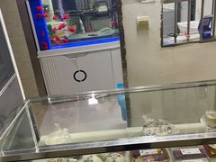 -高桥小香松糕