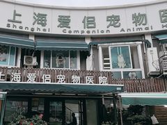 -爱侣宠医·鹦鹉专科·小型哺乳类·异宠专科(灵石路店)