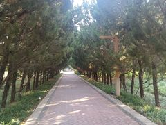 -洛阳市隋唐城遗址植物园