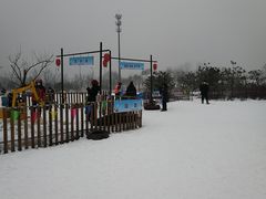 -绿野森林乐园冰雪季