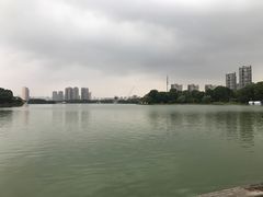 -大耳象东南亚风情餐厅(月湖公园店)