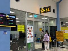 -班达拉奈克国际机场