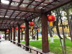 -东北大学(南湖校区)