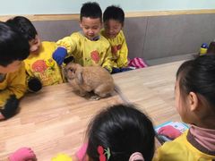 -杨梅红艺术教育(万象城校区)