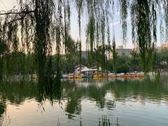 -莲湖公园
