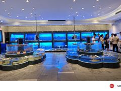 -金悦轩海鲜酒家(拱北店)