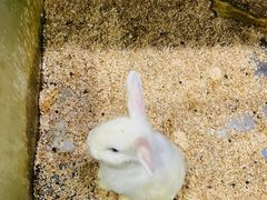 -上海大自然野生昆虫馆