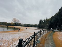 -黄兴公园