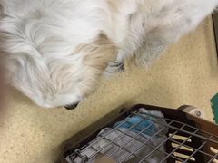 -康乐宝动物医院