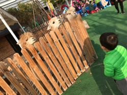 -萌宠亲子动物乐园(槐房万达店)