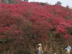 -木兰云雾山