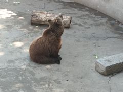 -保定市动物园