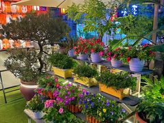 -山水茶艺馆·点心粤菜·30年老字号