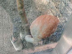 -青藏高原野生动物园