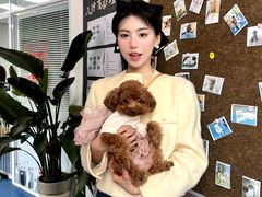-派美特宠物医院·核磁CT·骨科肿瘤·疑难转诊(沈农禾丰店)