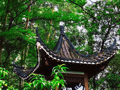 -深圳国际园林花卉博览园