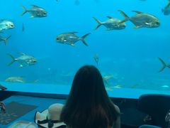 -瑞德姆美人鱼海底演艺主题餐厅(亚龙湾店)