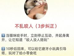-守诺宠物医院·眼科· 神经外科·爬宠专科(虹口店)