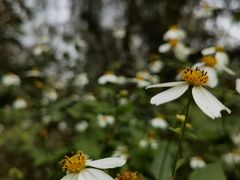 -白鹭湾湿地公园