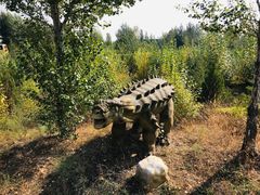 -银肯塔拉沙漠生态旅游景区