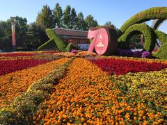 -大兴滨河森林公园